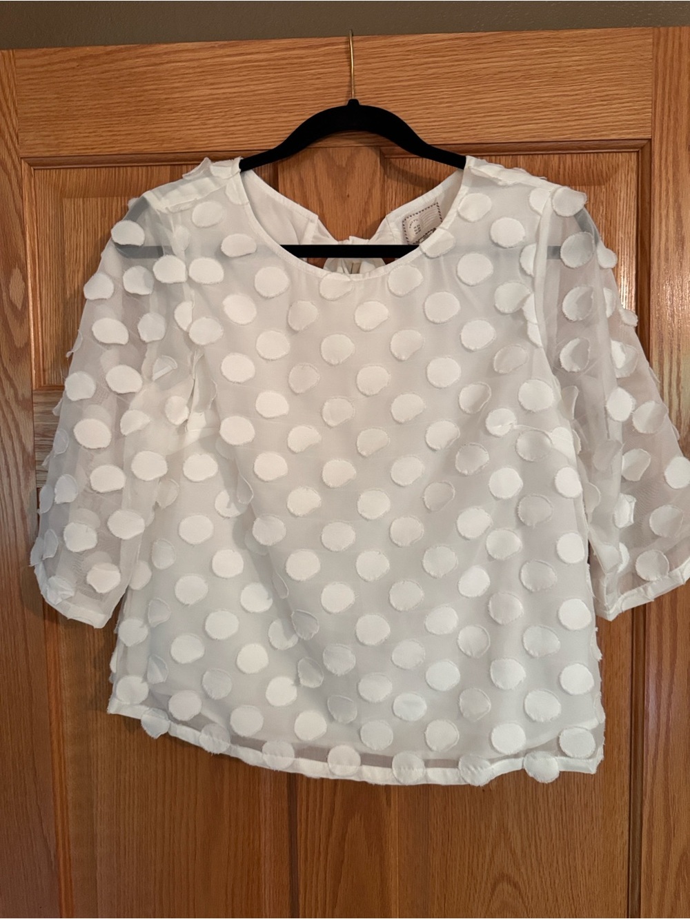 Anthropologie White Sheer Dot-Embellished Blouse